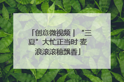 创意微视频｜“三夏”大忙正当时 麦浪滚滚穗飘香