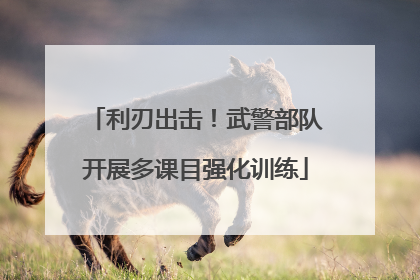 利刃出击！武警部队开展多课目强化训练