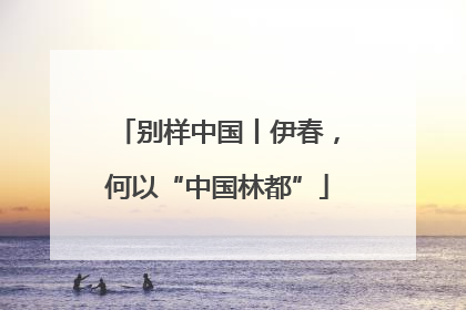 别样中国丨伊春，何以“中国林都”
