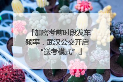 加密考前时段发车频率，武汉公交开启“送考模式”