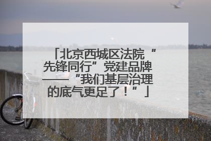 北京西城区法院“先锋同行”党建品牌——“我们基层治理的底气更足了！”