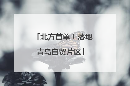 北方首单！落地青岛自贸片区