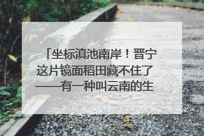 坐标滇池南岸！晋宁这片镜面稻田藏不住了——有一种叫云南的生活之365天