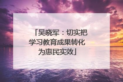 吴晓军：切实把学习教育成果转化为惠民实效