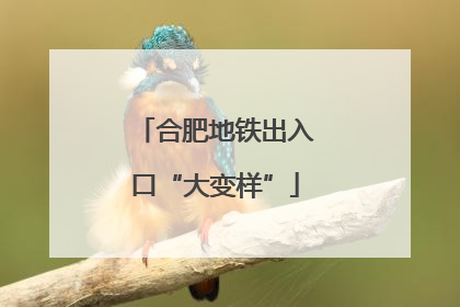 合肥地铁出入口“大变样”