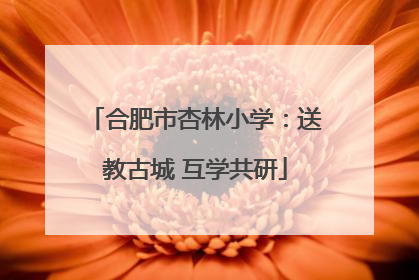 合肥市杏林小学：送教古城 互学共研