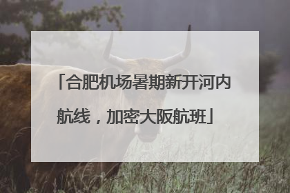 合肥机场暑期新开河内航线，加密大阪航班