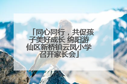 同心同行，共促孩子美好成长 绵阳游仙区新桥镇云凤小学召开家长会