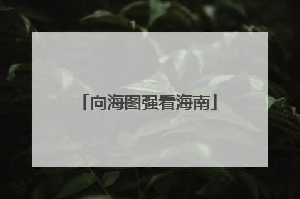 向海图强看海南