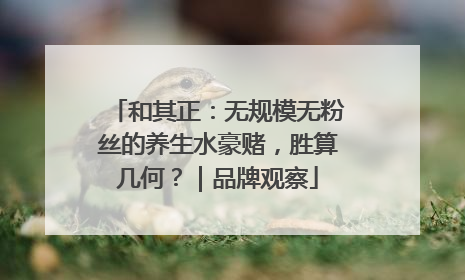 和其正：无规模无粉丝的养生水豪赌，胜算几何？｜品牌观察