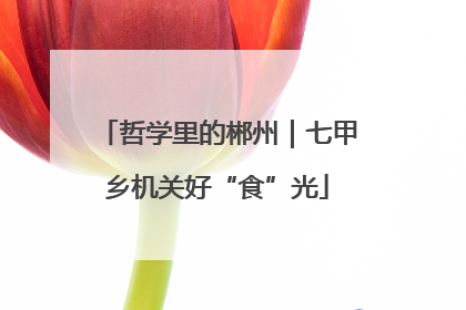 哲学里的郴州｜七甲乡机关好“食”光