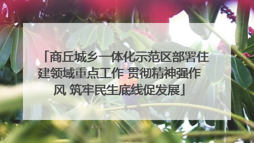 商丘城乡一体化示范区部署住建领域重点工作 贯彻精神强作风 筑牢民生底线促发展
