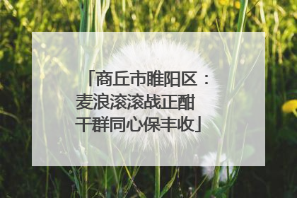 商丘市睢阳区：麦浪滚滚战正酣 干群同心保丰收