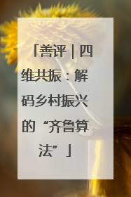 善评｜四维共振：解码乡村振兴的“齐鲁算法”