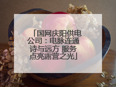 国网庆阳供电公司：电脉连通诗与远方 服务点亮露营之光