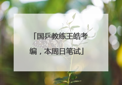 国乒教练王皓考编，本周日笔试