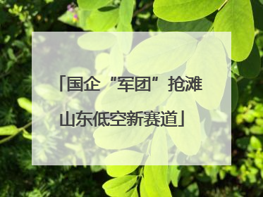 国企“军团”抢滩山东低空新赛道