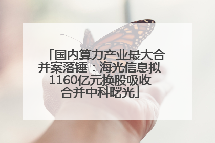 国内算力产业最大合并案落锤：海光信息拟1160亿元换股吸收合并中科曙光