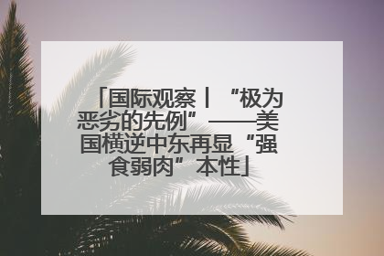 国际观察丨“极为恶劣的先例”——美国横逆中东再显“强食弱肉”本性