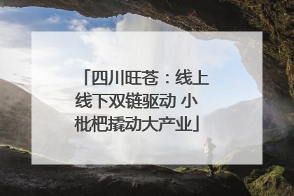 四川旺苍：线上线下双链驱动 小枇杷撬动大产业