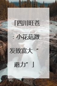 四川旺苍：小花菇激发致富大“蘑力”