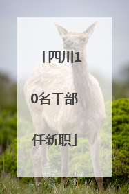 四川10名干部任新职