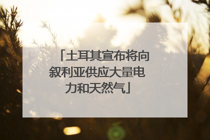 土耳其宣布将向叙利亚供应大量电力和天然气