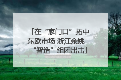 在“家门口”拓中东欧市场 浙江余姚“智造”组团出击