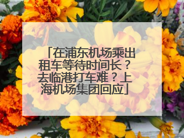 在浦东机场乘出租车等待时间长？去临港打车难？上海机场集团回应