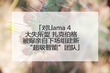 对Llama 4大失所望 扎克伯格被曝亲自下场组建新“超级智能”团队