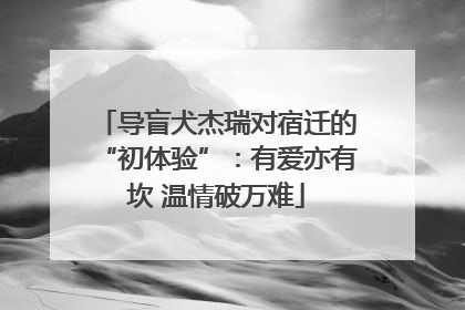导盲犬杰瑞对宿迁的“初体验”：有爱亦有坎 温情破万难