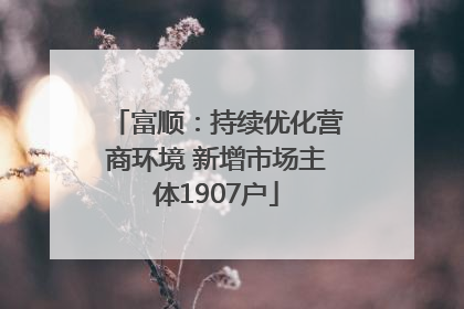 富顺：持续优化营商环境 新增市场主体1907户
