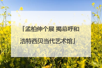 孟柏伸个展 揭幕呼和浩特西贝当代艺术馆