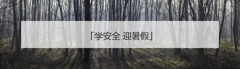 学安全 迎暑假