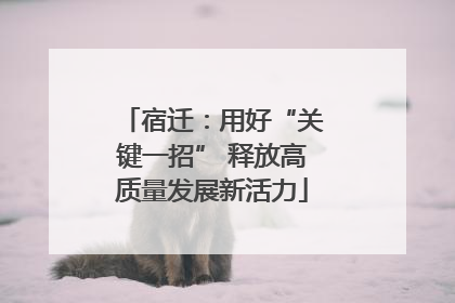 宿迁：用好“关键一招” 释放高质量发展新活力