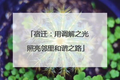 宿迁：用调解之光照亮邻里和谐之路