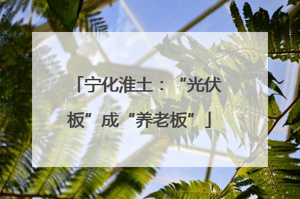 宁化淮土：“光伏板”成“养老板”