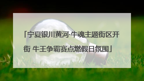 宁夏银川黄河·牛魂主题街区开街 牛王争霸赛点燃假日氛围