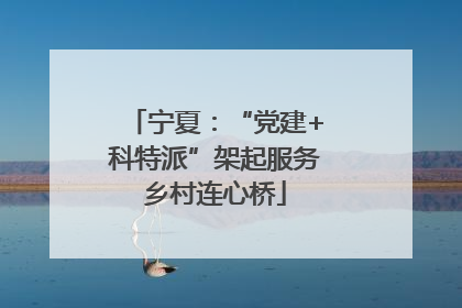 宁夏：“党建+科特派”架起服务乡村连心桥