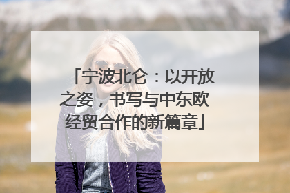宁波北仑：以开放之姿，书写与中东欧经贸合作的新篇章