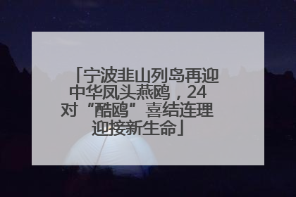 宁波韭山列岛再迎中华凤头燕鸥，24对“酷鸥”喜结连理迎接新生命