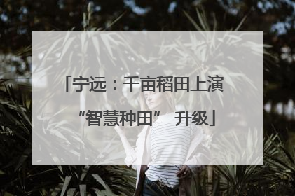 宁远：千亩稻田上演 “智慧种田” 升级