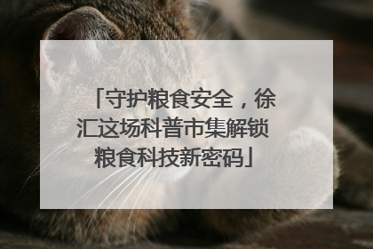 守护粮食安全，徐汇这场科普市集解锁粮食科技新密码