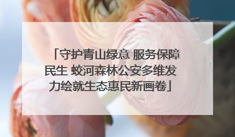 守护青山绿意 服务保障民生 蛟河森林公安多维发力绘就生态惠民新画卷