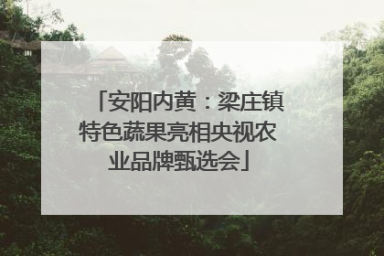 安阳内黄：梁庄镇特色蔬果亮相央视农业品牌甄选会