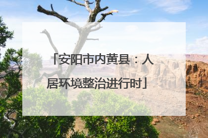 安阳市内黄县：人居环境整治进行时