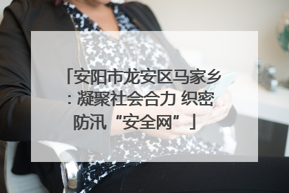 安阳市龙安区马家乡：凝聚社会合力 织密防汛“安全网”