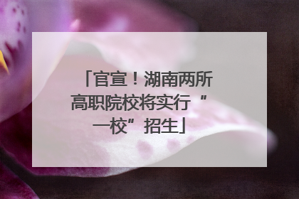 官宣！湖南两所高职院校将实行“一校”招生