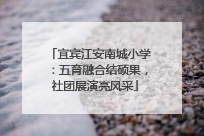 宜宾江安南城小学：五育融合结硕果，社团展演亮风采