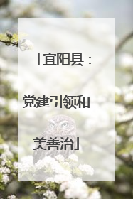 宜阳县：党建引领和美善治
